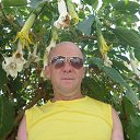 ���� ������, ������������, 65 ��� - ��������� 19 ������� 2016 � ������ ���� ����������