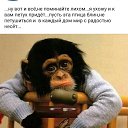 ���� ��������, �������, 66 ��� - ��������� 23 ������� 2016 � ������ ������ ��������