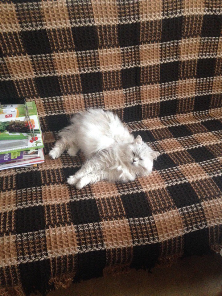 #_.            ,    ... - 3