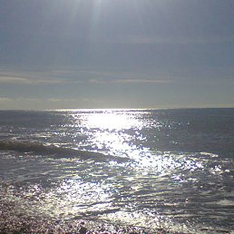 �����, ������������, 48 ���