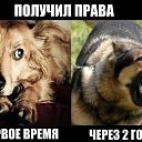 ���� ����, ������, 34 ���� - ��������� 5 ������� 2017 � ������ ������ ��������