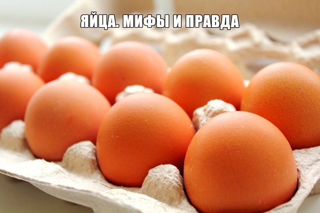 Яйца. Миф и правда.Яйца - вредная пищаЭто мифПочти все эксперты говорят, что яйца — не особенно ...