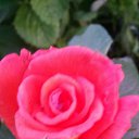 ���� �����, ������ - ��������� 22 ������� 2017 � ������ ���� ������� ����� .�