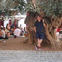 palma �� ������� ���� ����������