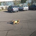 ���� ������, ������, 66 ��� - ��������� 26 ������ 2016 � ������ ���� ����������