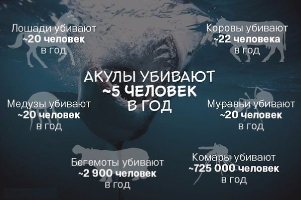 В столице Финляндии Хельсинки установили знак