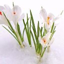 ���� �������, �����������, 71 ��� - ��������� 6 ����� 2017 � ������ ������ ��������