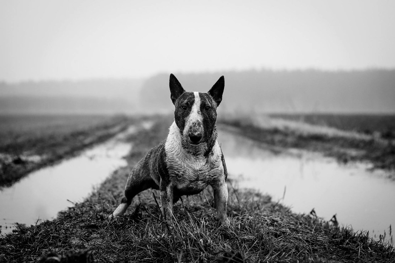 С началом новой рабочей недели