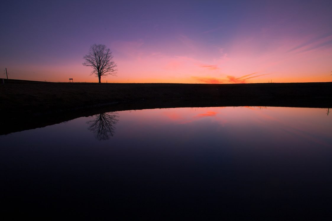 ��������.