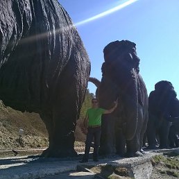 ������, �����-��������, 41 ���