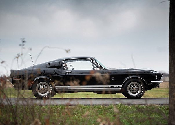 1968 Shelby GT500 - 2