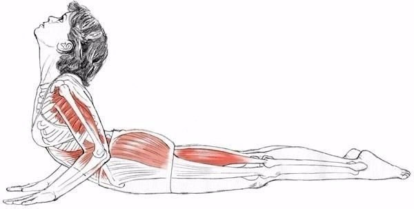 !    ,   ,   ! ... - 7