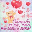 ���� �������, ����������� - ��������� 25 ������� 2017 � ������ ���� ����������