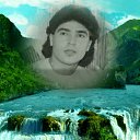  Amidi, , 50  -  6  2017