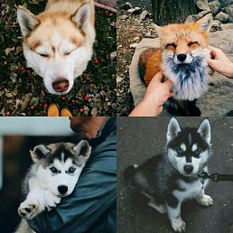 ���� ������, �������, 27 ��� - ��������� 23 ������� 2017