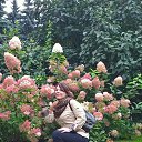 ���� �����, ������ - ��������� 21 ������� 2016 � ������ ���� ����������