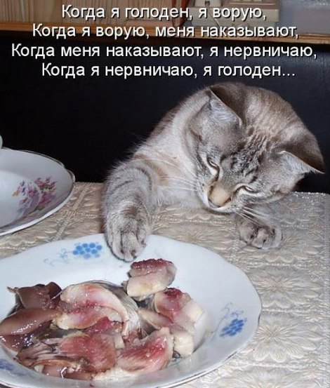  - 27  2016  11:00