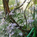  , , 73  -  25  2016     2016