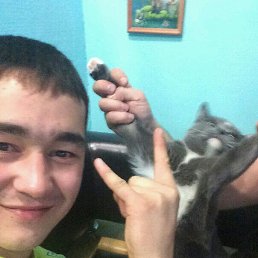 ������, ��������, 33 ����