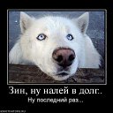 ���� �����, ������� - ��������� 10 ������� 2016 � ������ ���� ����������