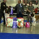 ������������ ��� *���������* 2012, ������ �� ������� ���� �������