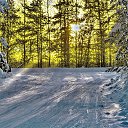 ���� ��������, ���������� - ��������� 22 ������� 2017 � ������ ����������� �� ���� "���� �� ������!�