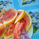 ������ ������ � ������� �� ������� ����� 2016�