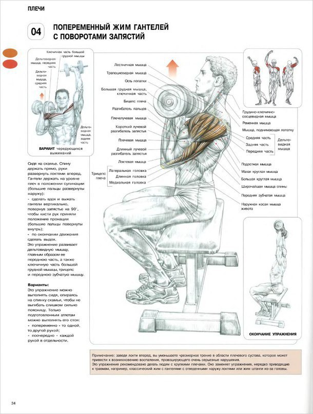 Анатомия тренировок. Делавье анатомия силовых упражнений плечи. Анатомия силовых упражнений Фредерик Делавье плечи. Фредерик Делавье жим лежа. Анатомия силовых упражнений Фредерик Делавье картинки.