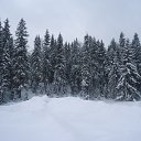 ���� ������, ���� - ��������� 1 ������� 2016 � ������ ������ ��������