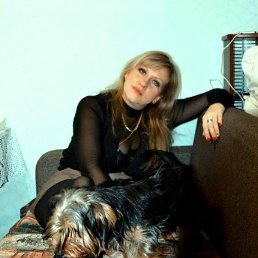 ���� �����, ������, 43 ���� - ��������� 1 ����� 2017