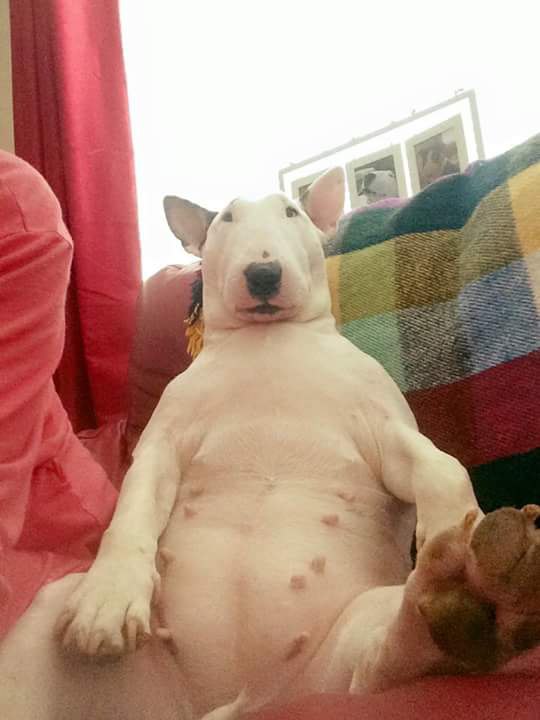 Когда немного поправился за выходные)