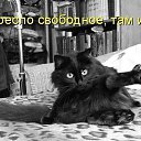 ���� ���������, ������, 58 ��� - ��������� 18 ������� 2017 � ������ ���� ����������