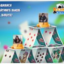 ���� Valdemara, �������, 68 ��� - ��������� 21 ������� 2017 � ������ �������� �������-�������
