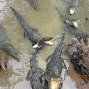 �������. ������������ �����. �� ������� ���� ���� ������