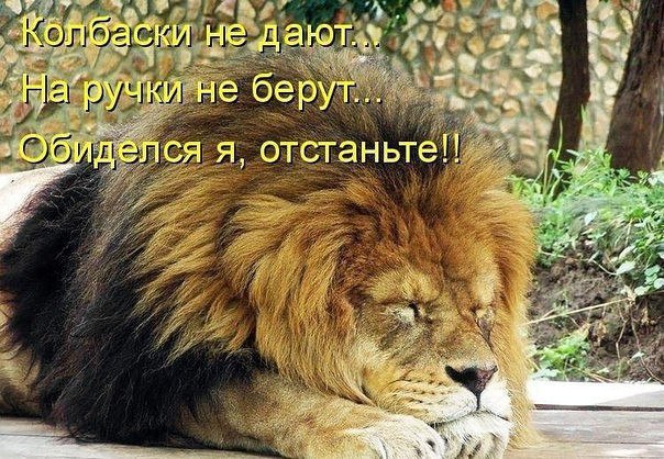 ��� �������� �������� - 14 ����� 2017 � 03:16