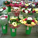  , -, 42  -  13  2016    