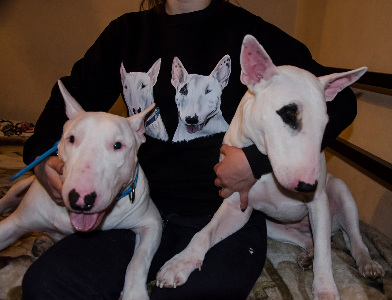 Hrafnsmerki things - https://fotostrana.ru/away?to=/sl/7feПредставляет вещички с авторским принтом, ... - 3