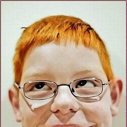 ������, ������, 65 ���