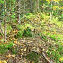 ���� �������, ��������, 47 ��� - ��������� 2 ������� 2016 � ������ ���� ����������