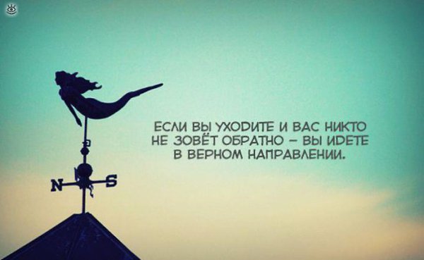 ������� ���� ������������� ����. ����� �� ���� ��������, ������� ����������� ������� � ������, ... - 48