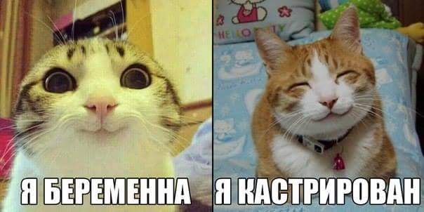 ОБО ВСЕМ - 21 марта 2017 в 02:46
