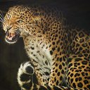 ���� ����� �� �� ����, �������� - ��������� 17 ������ 2016 � ������ ������ ��������
