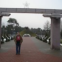 ���� ��������, ������, 65 ��� - ��������� 31 ������ 2017 � ������ ���� ����������