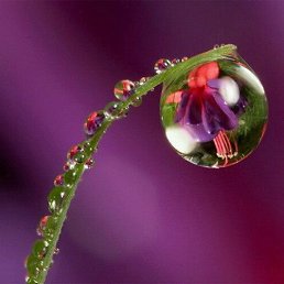 ���� Luchik, ������ - ��������� 19 ������� 2017