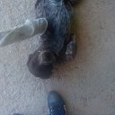 ���� ������, �����, 46 ��� - ��������� 19 ������� 2016 � ������ ���� ����������