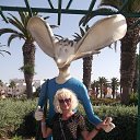 ���� �������, ����� - ��������� 17 ������ 2017 � ������ ���� ����������