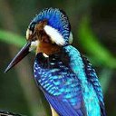 ���� ��������, �����-��������� - ��������� 23 ����� 2017 � ������ ������ ��������