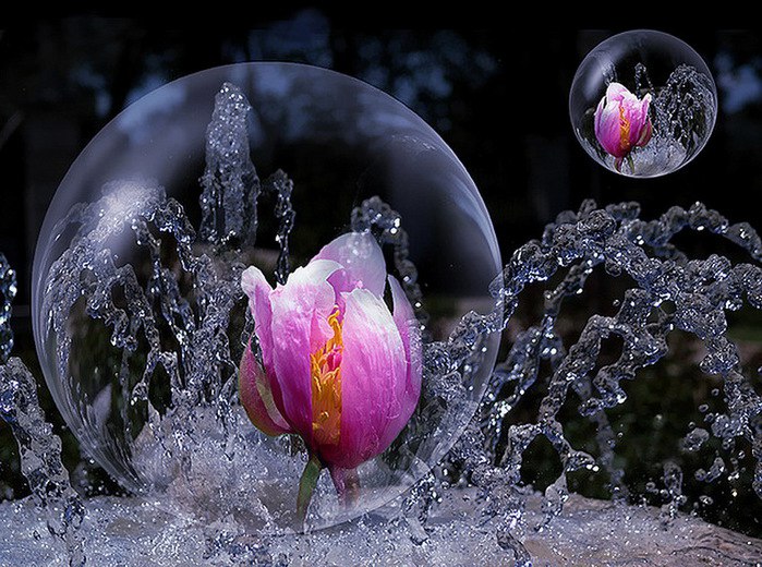 ))). Monuela Moya "Expecty" Monuela Moya "Expecty" ... - 14