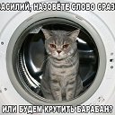 ���� �������, ������ - ��������� 11 ������ 2017 � ������ ������ ��������
