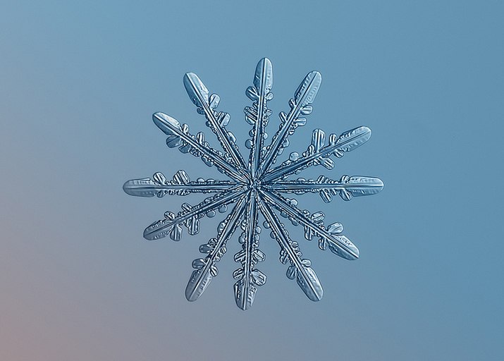  . - 8